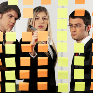 Organizational Alignment 